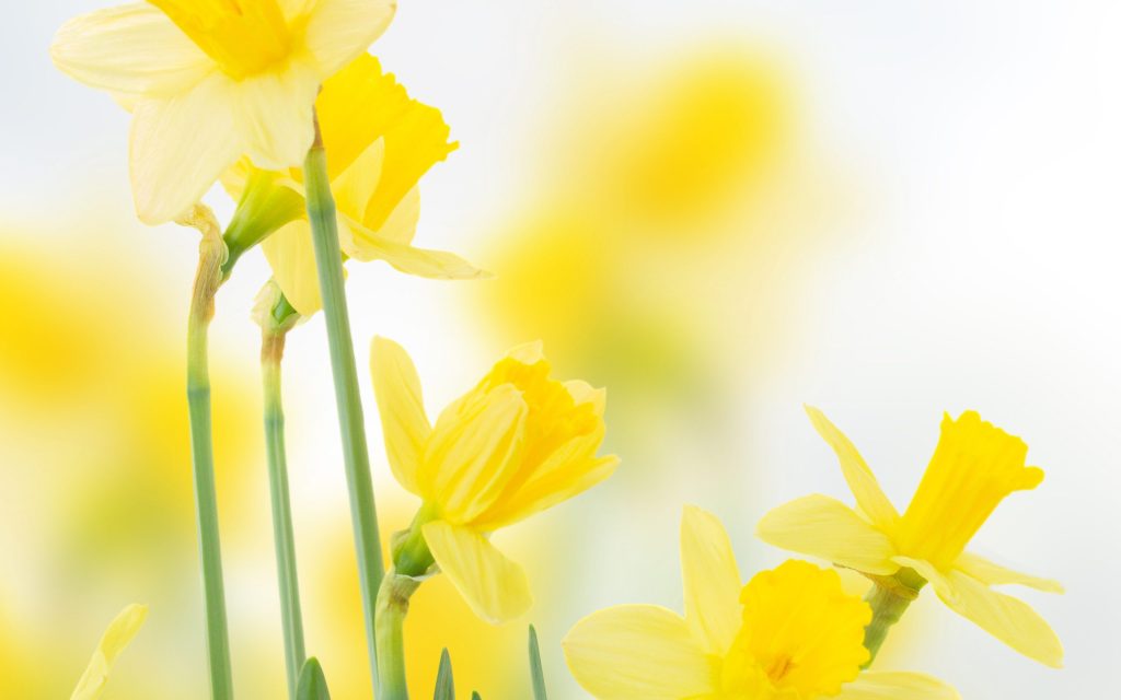 Let’s Just Pause for a&nbsp;Moment