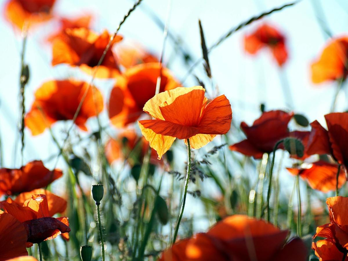 Oh dear, I feel a peeve coming&nbsp;on…..