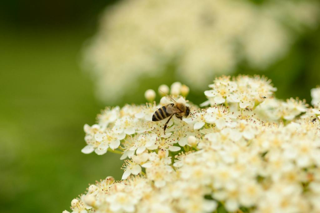 Stupid Things Christians Say